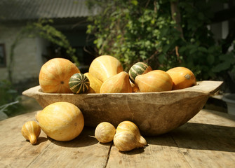  autumn pumpkin one table