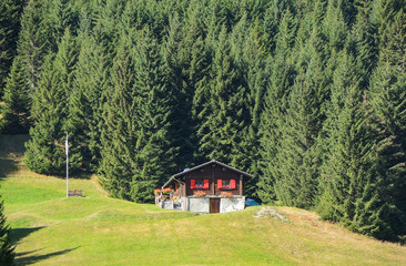 Traditional Swiss mountain landscape. Green area fall season with wood
