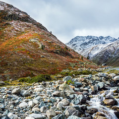 Gebirgsbach, Neuschnee und Alpenflora im Herbst, Graubünden, Schweiz