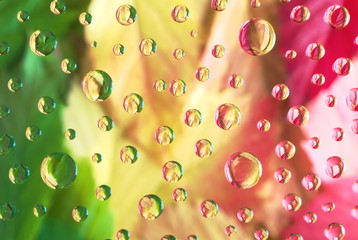 Colorfull autumn leaves in water droplet