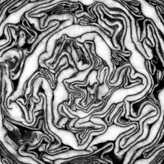 black and white texture of red cabbage cut in half