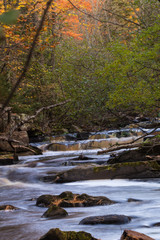 Fall landscape with water and woods in Northern Minnesota