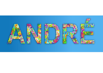 Vorname Andr&eacute;, Grafik