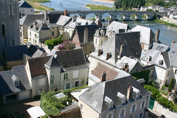 Amboise and the Loire from the Château