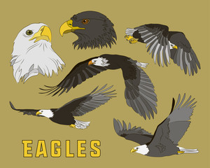 Set of eagles