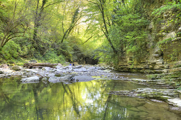 Caucasus. Sochi. River Agura