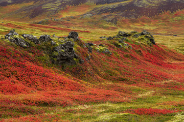 Wild landscapes of Iceland in Autumn © whatafoto