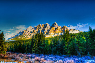 Winter Mountain Scenery Banff and Jasper National Parks Alberta Canada