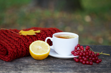 side view cup on a wooden table with a guelder and lemon