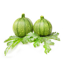 Eight ball Squash or Zucchini or Round Courgette (Cucurbita pepo) on white background.