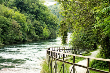 sentiero lungo il fiume