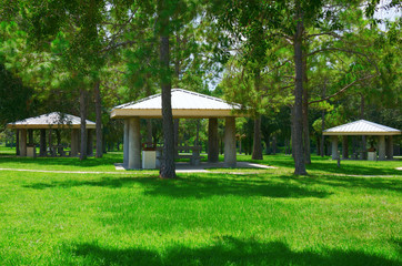 Picnic tables area in beautiful park with trees and green grass - 123149595
