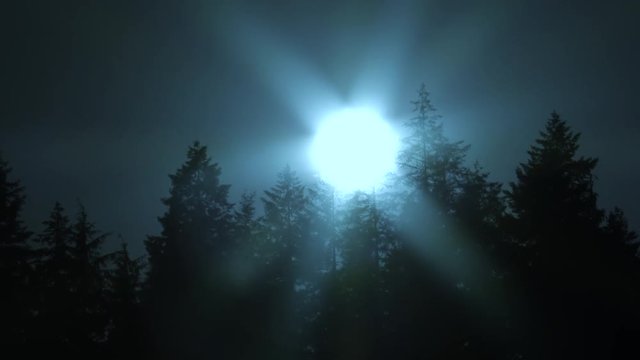 Sun drops behind tall forest trees on eerie blue sky night, 4K time lapse.