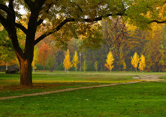 Autumn glade in park