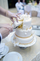 Beauty bride and handsome groom are cutting a wedding cake. Couple in the restaurant with colorful pie. Beautiful model girl in white dress. Man in suit. Female and male portrait. Cute lady and guy