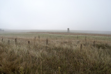 Watchtower in the fog 4