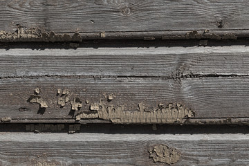 Background detail of old and dry wood