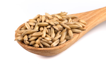 organic oat grains