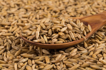 natural oat grains background, closeup