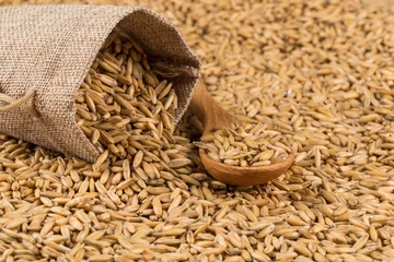 Gordijnen natural oat grains background, closeup © VertigoBarrov