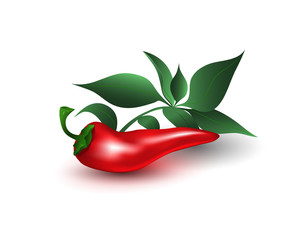 Hot red chili pepper isolated on white background. Vector illustration.