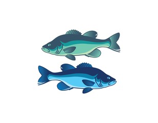 Fototapeta premium fish bass