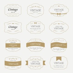 Set of  label and elements for design vintage style.