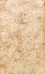 Decorative plaster texture, decorative wall, stucco texture, decorative stucco