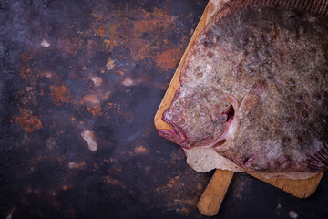 Flounder raw fish on a dark background.Copy space. selective focus.