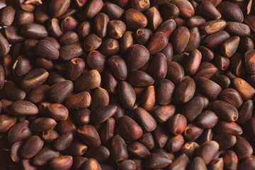 Pine nuts in shells of ciberian cedar as a background. Macro