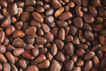Pine nuts in shells of ciberian cedar as a background. Macro