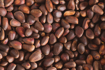 Pine nuts in shells of ciberian cedar as a background. Macro