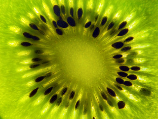 Slice of kiwi fruit closeup. Macro shot