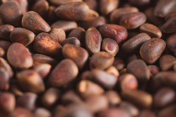 Pine nuts in shells of ciberian cedar as a background. Macro