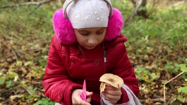 Girl picking mushrooms armillaria in the forest in autumn, she admires the mushroom, fallen yellow leaves lie on the ground

