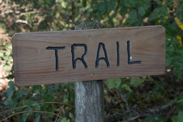 Trail