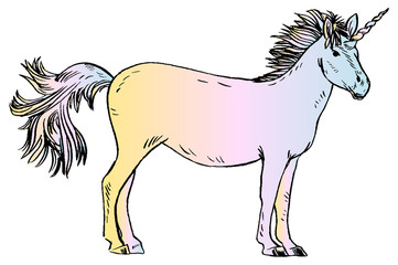 Obraz na płótnie Canvas Unicorn vector illustration. color design. isolated. cartoon. magic. set. icon. logo.