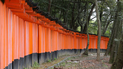 Fushimi Inari Temple, Toriis, Kyoto, Japan