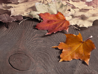 Autumn art background
