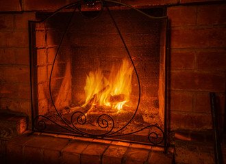 A fire in the fireplace with a protective screen.