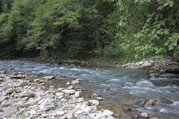 Реликтовый Биосферный Заповедник.