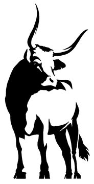 black and white linear paint draw bull illustration