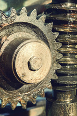 Gear wheel, cogs and screw of old machine taken close up.