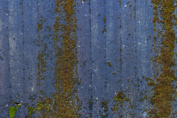 Obraz premium Mossy concrete wall