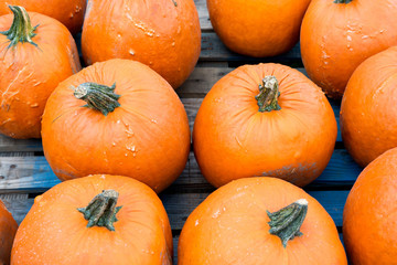 Halloween orange pumpkins in store just ready for sale