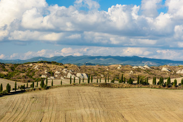 Panorama of the Tuscan countryside with cypress trees and dusty