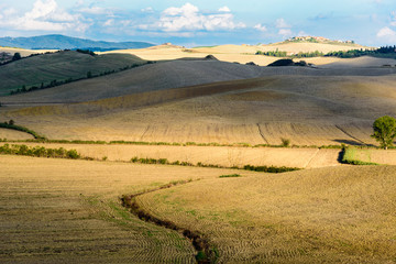 Fototapeta na wymiar Panorama of the Tuscan countryside near Siena