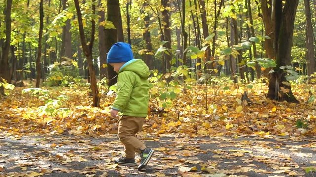 Little Boy Walking in The Autumn Forest