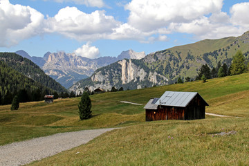 Fototapeta na wymiar Val San Nicolò; sullo sfondo il Catinaccio; Dolomiti di Fassa