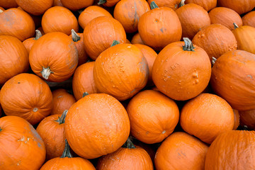 Halloween orange pumpkins in store just ready for sale